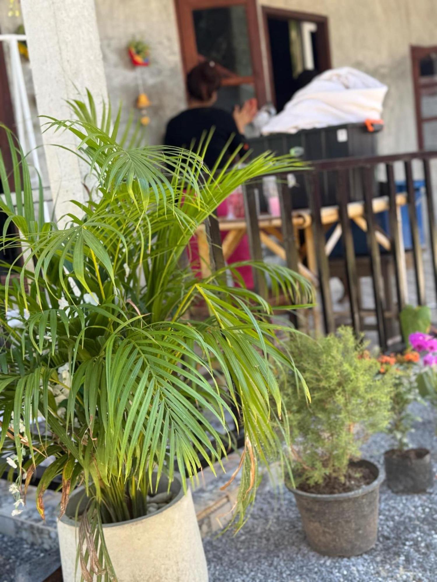 Lanta Natural Hut Garden Ko Lanta 外观 照片